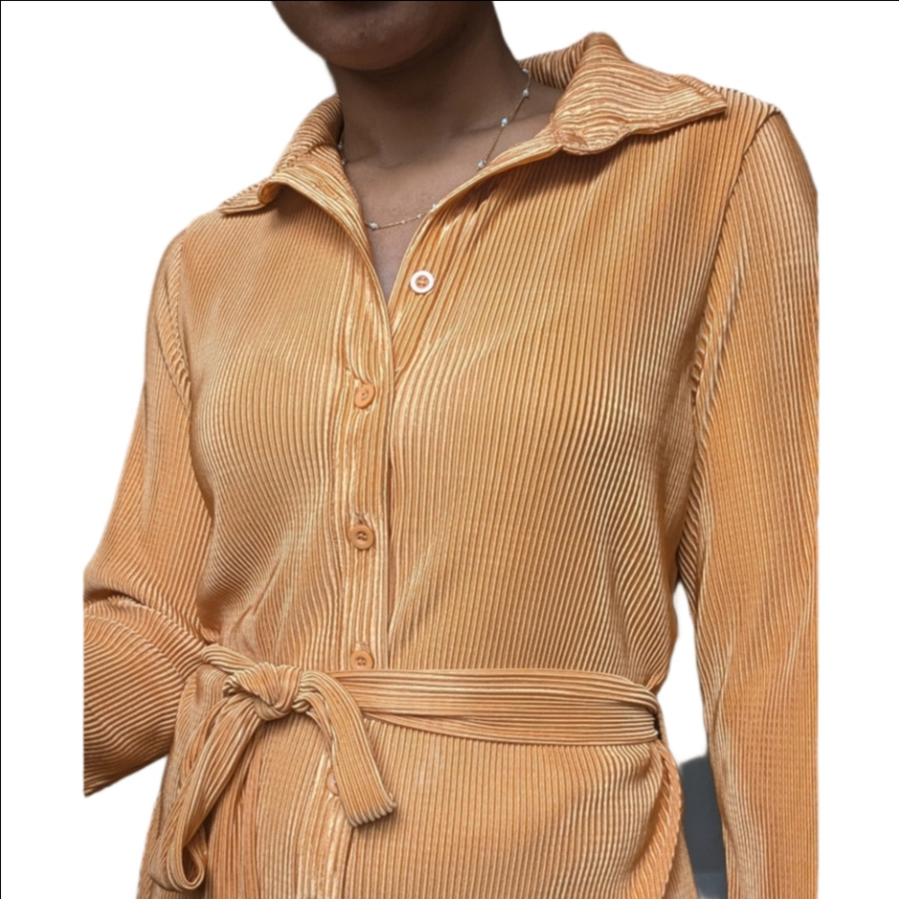 Orange Pleated Button-Up Dress